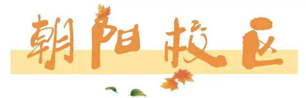 如何制定智能篮球训练计划_1